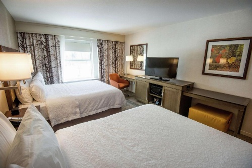Hampton Inn By Hilton & Suites Manchester, VT image 12