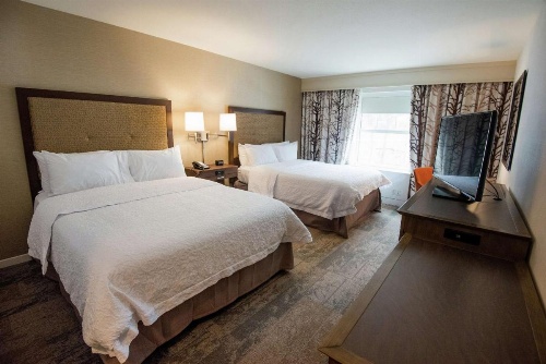 Hampton Inn By Hilton & Suites Manchester, VT image 28