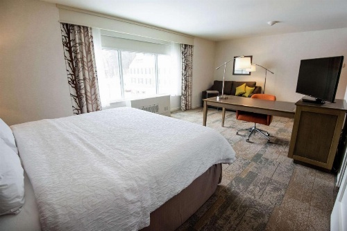 Hampton Inn By Hilton & Suites Manchester, VT image 7